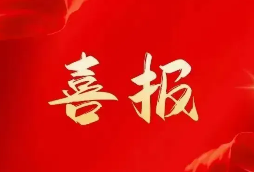 盛视承建边检快捷通关“友谊关模式”获全国自贸试验区第六批“最佳实践案例”！